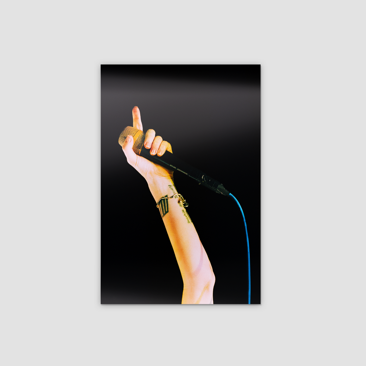 Hayley Williams — HW-14